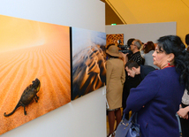 В Центре Гейдара Алиева открылась выставка фотографа Тео Аллофса "Неизведанная Африка"